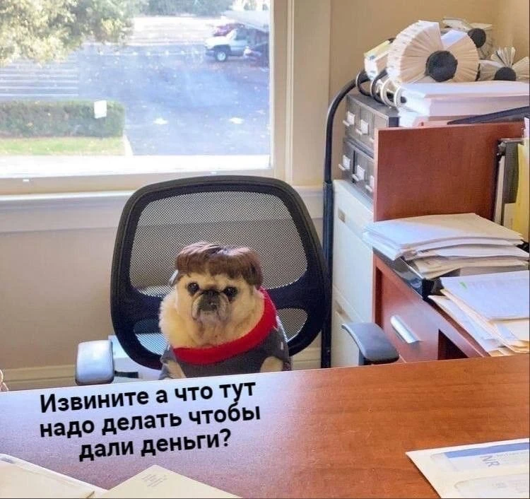 🙏🏻Надо немножко поработать, и уже через 5 дней мы встретимся с вами вновь на фестивале «Солома»! 
