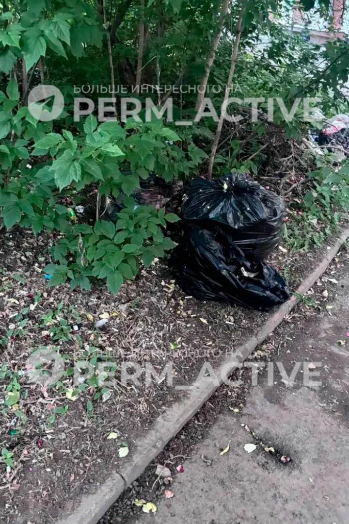 🤬🤯 Шприцы и горы мусора у ЗАГСа: пермяки пожаловались на бардак у одного из главных у...
