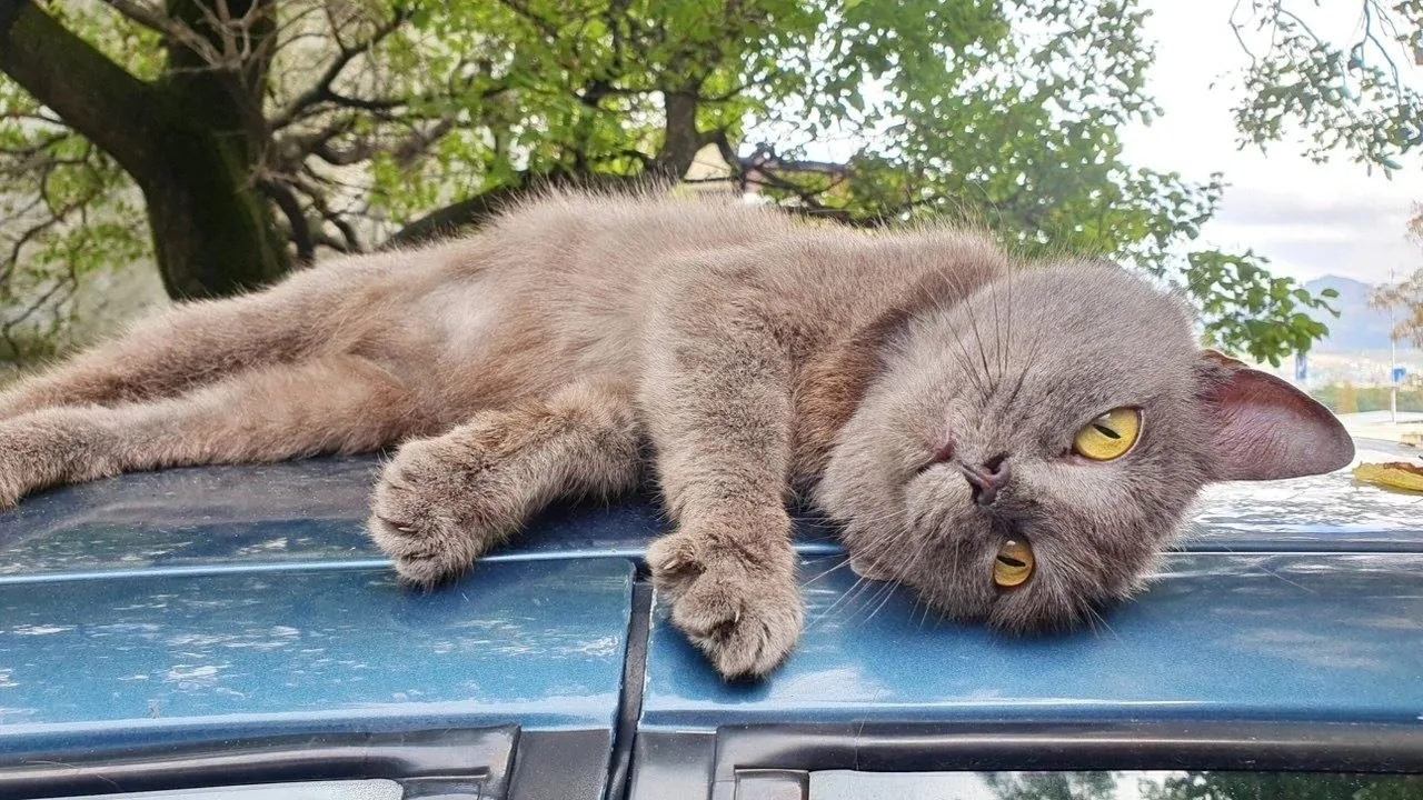 Продолжаем наш сбор 🤞