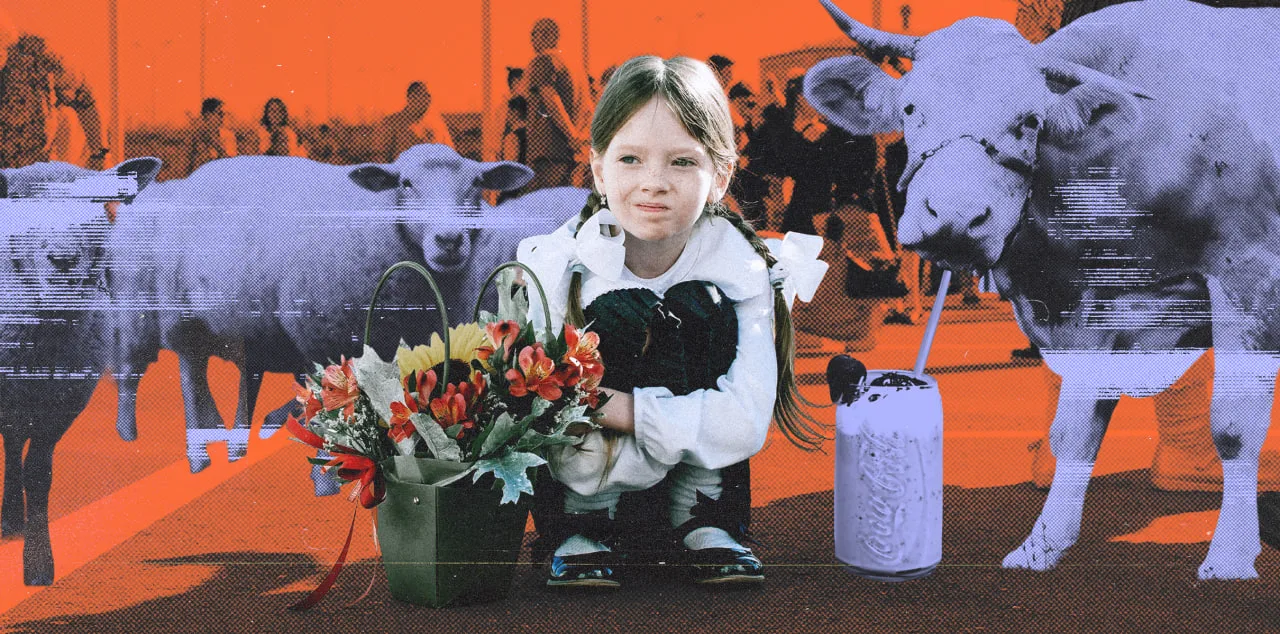 Один мяч — много мячей, одно дно — много…