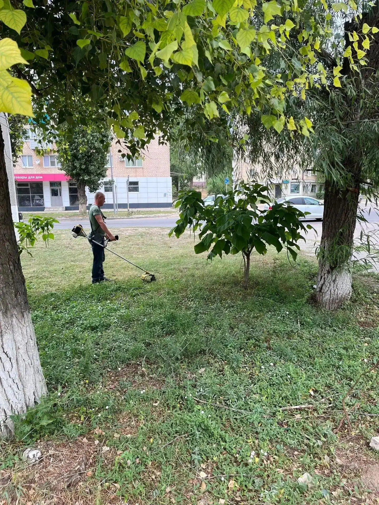 МКУ «Благоустройство» города Жирновска продолжает следить за порядком. 🌿

Произведён очередной поко