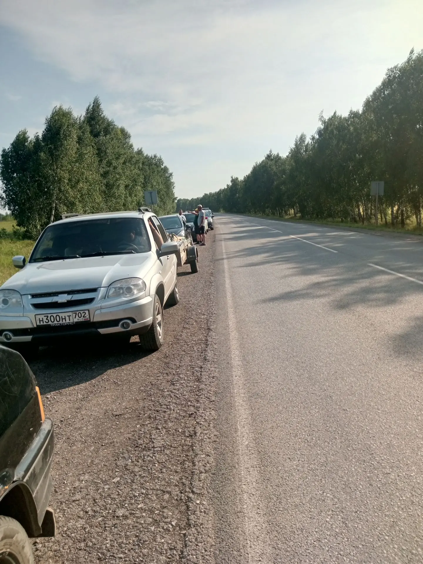 Сзади