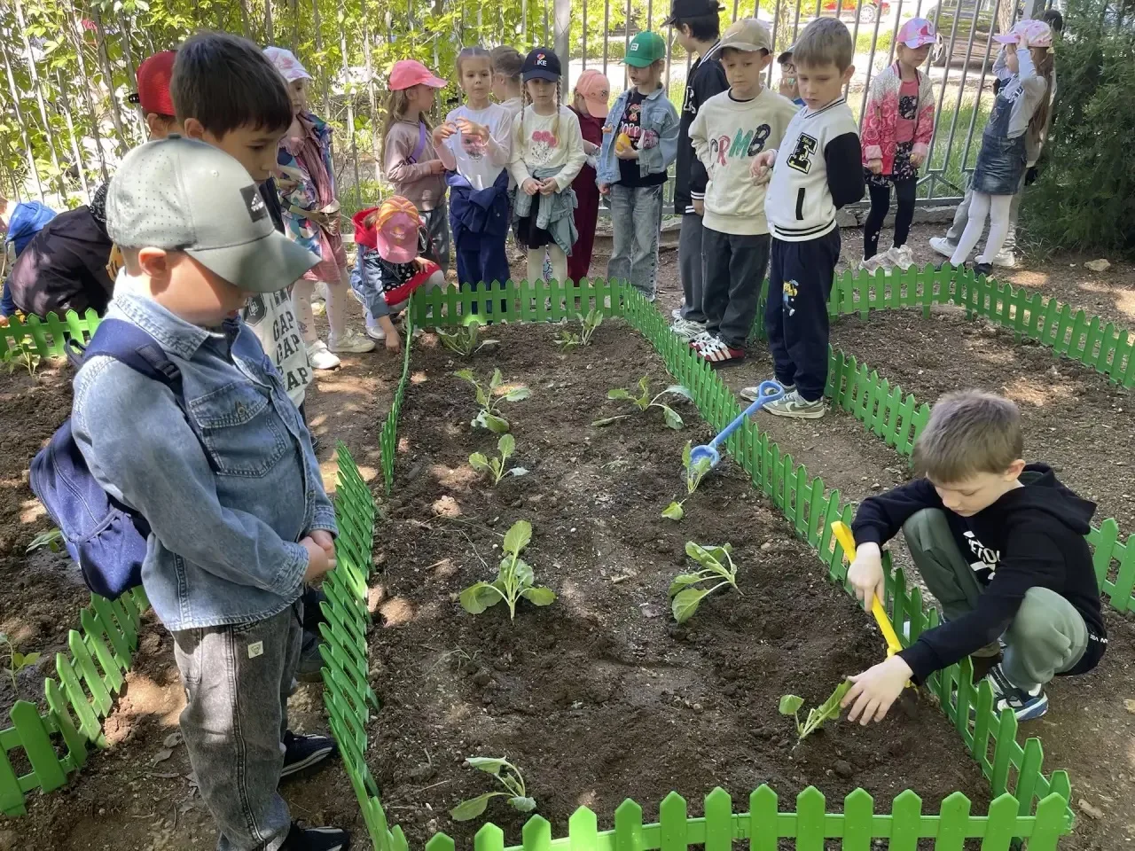 Высадка капусты🌱

Весна — это время пробуждения природы, и высадка капусты может стать увлекательны