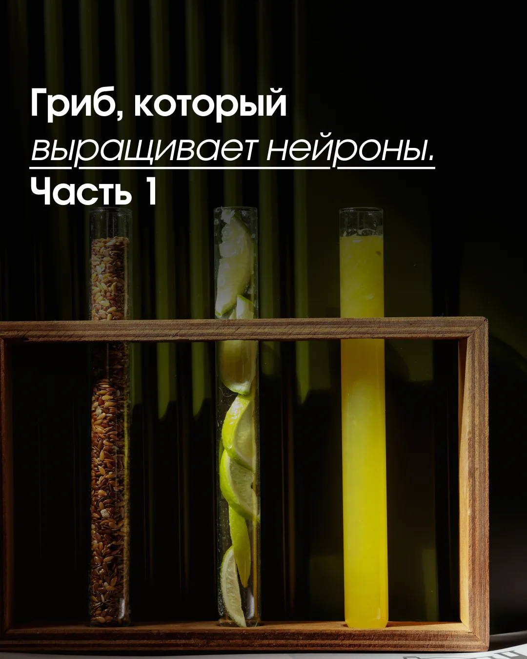 Представьте молекулу, которая способна проникать через гематоэнцефалический барьер и буквально включ