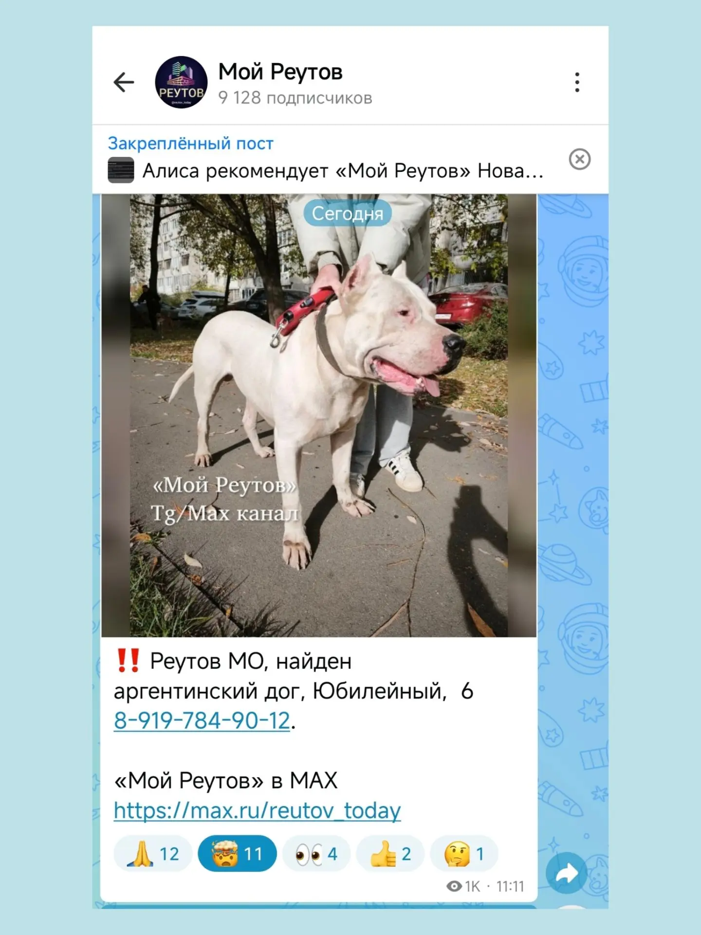 ‼️ "Шла вдоль дороги около парка на южной стороне. Хозяйка просто спустила собаку , и с...