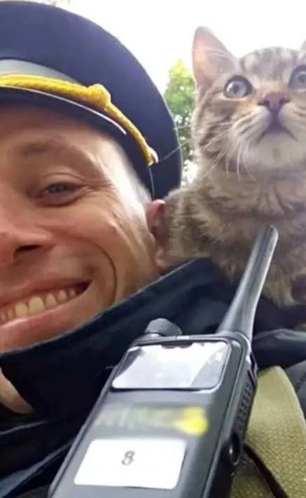 🐈 В Москве засняли милейшую сцену: полицейский погладил бездомного котика, а тот ответ...