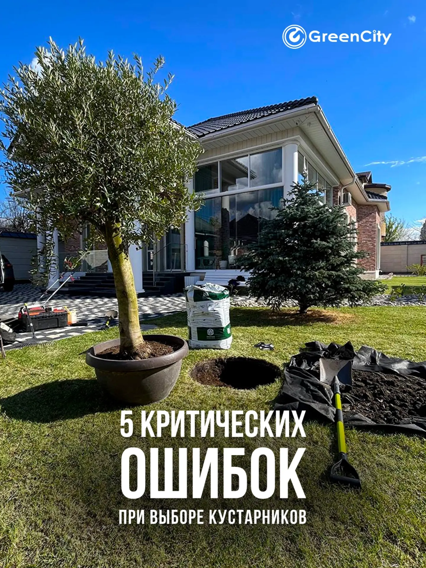 Выбирая кустарники для сада, многие ориентируются только на внешний вид — и это одна из...