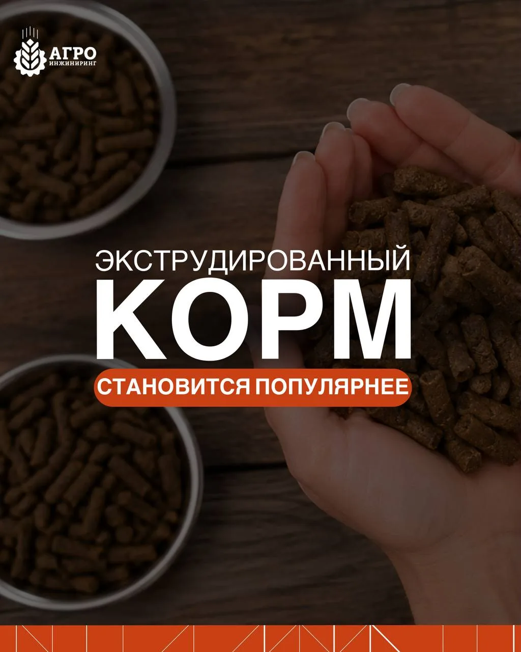Почему экструдированный корм становится популярнее
