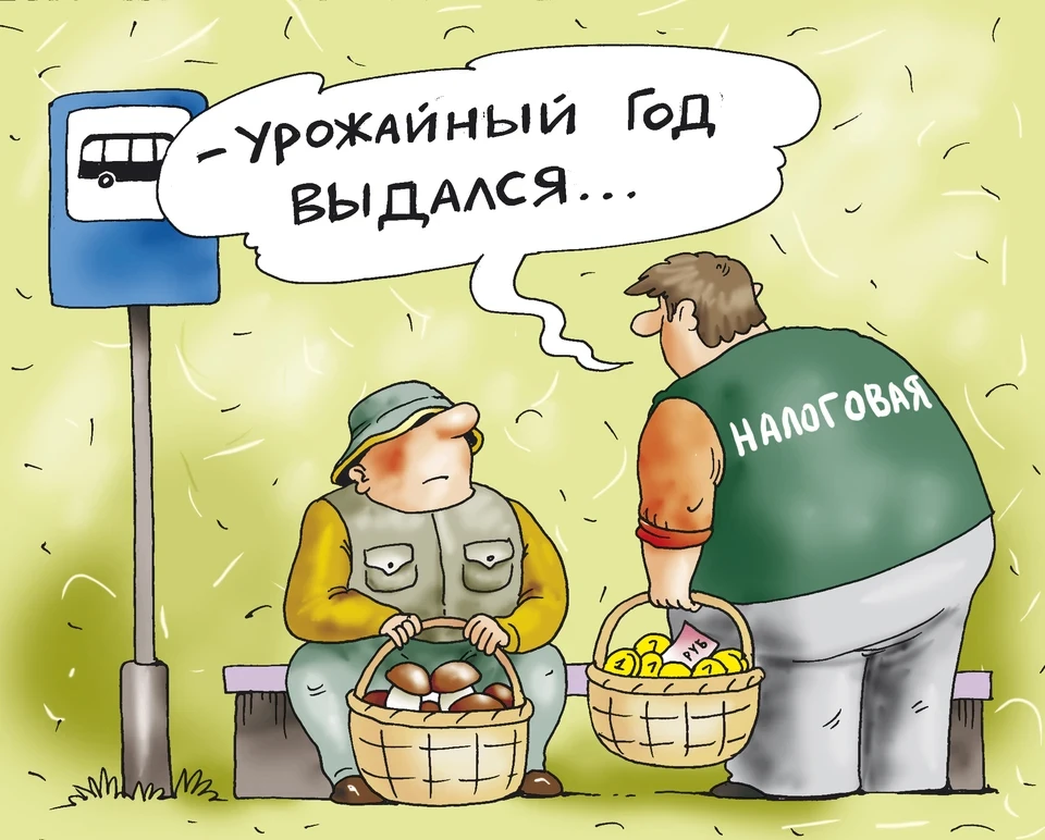 Россияне должны заплатить налоги до 1 декабря: за что и сколько придется отдать государ...