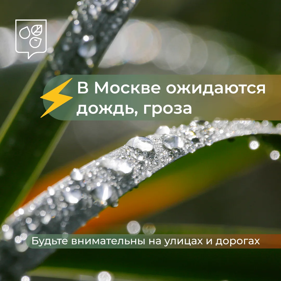 ☔️ В Москве ожидаются кратковременный дождь, ливень и гроза

По прогнозам синоптиков, в отдельных ра