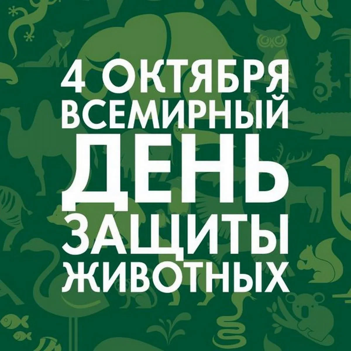 4 октября — Всемирный день защиты животных! 🐾