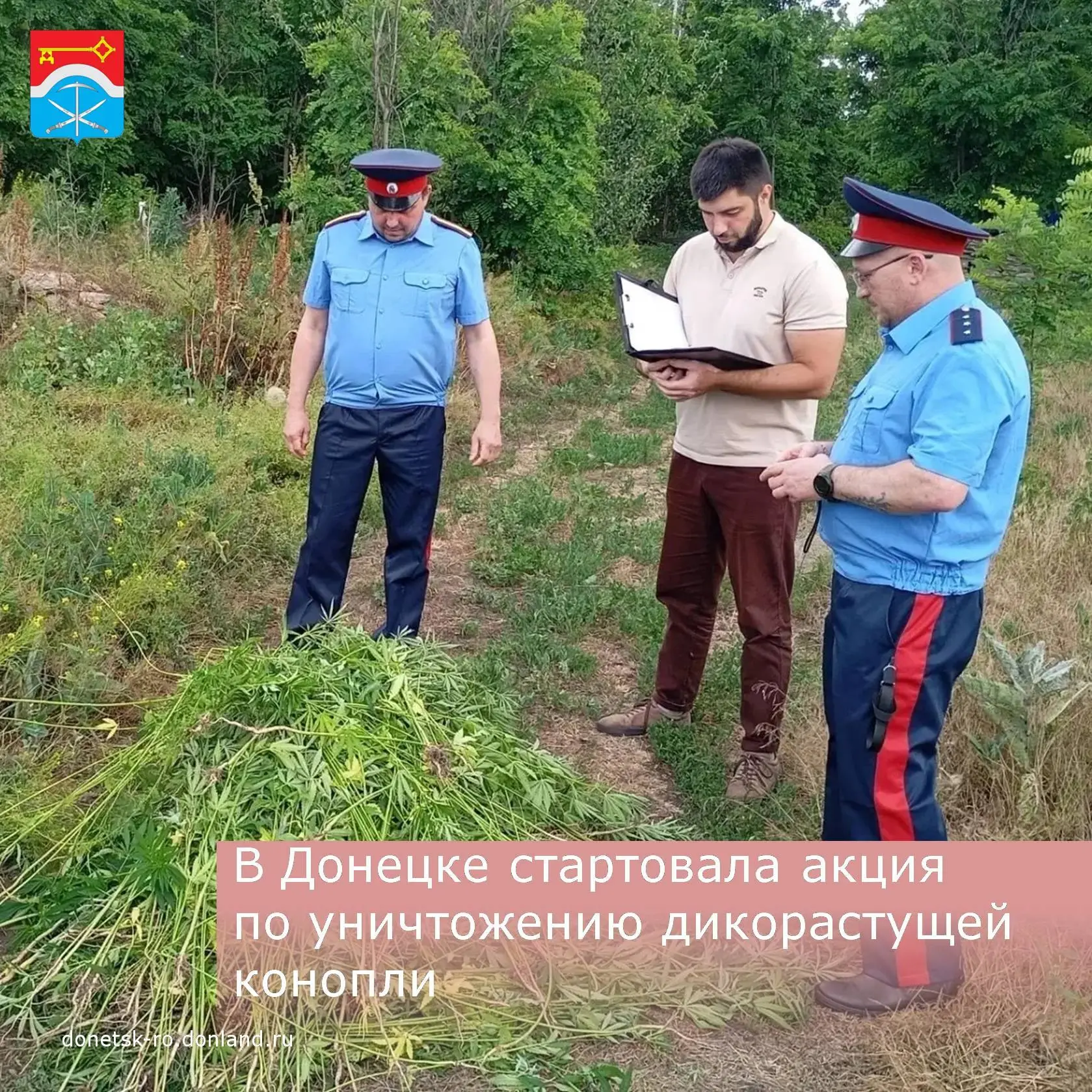 В Донецке стартовал первый этап акции «Единый день борьбы с дикорастущей коноплёй». Проведён совмест
