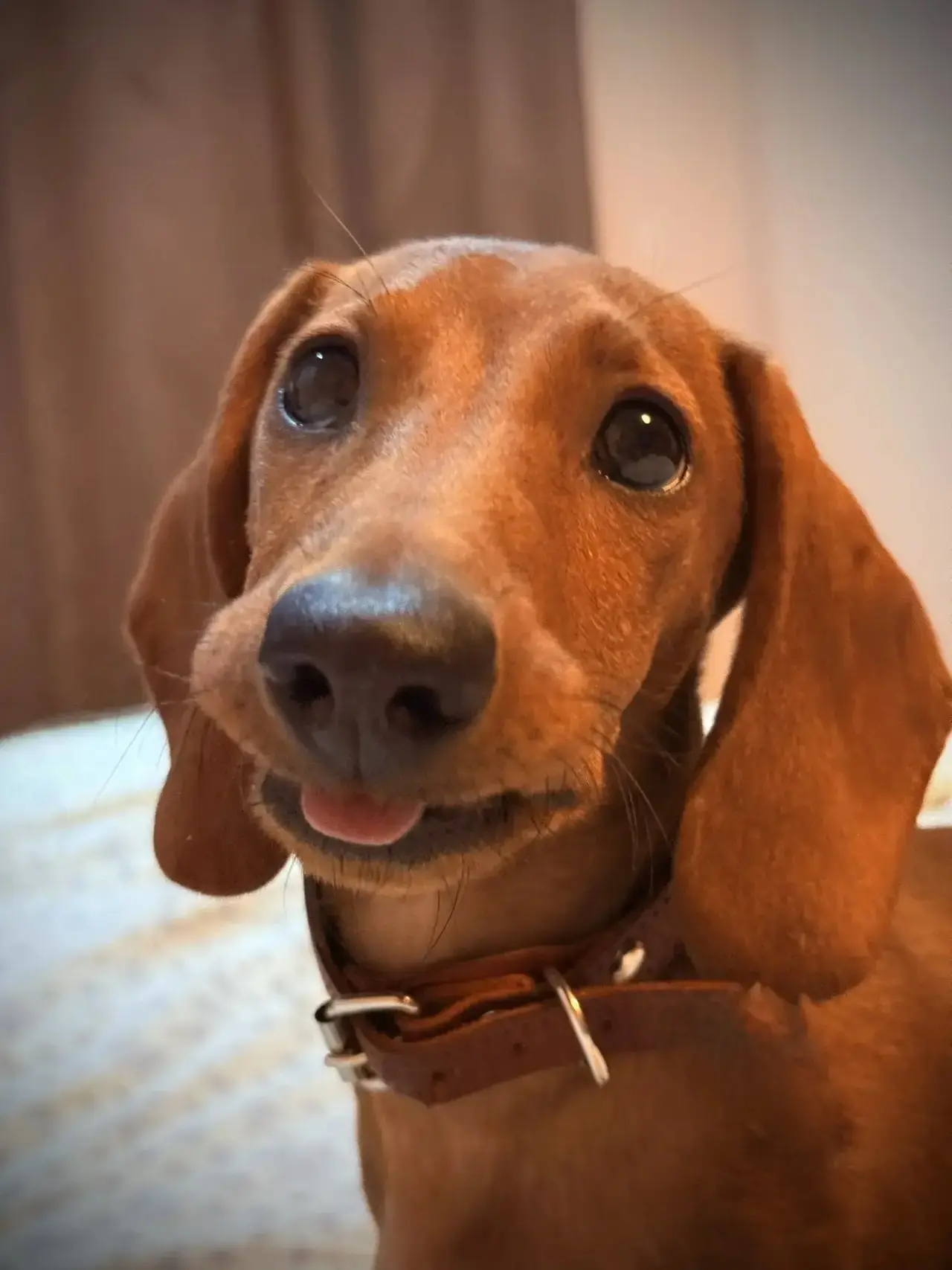 😛