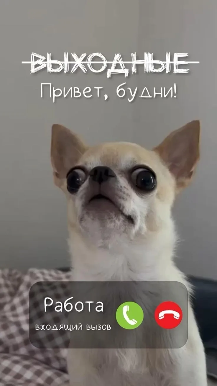 ☀️ С началом новой недели и с первым днём лета! ☀️

1 июня — отличный повод зарядиться летним настро
