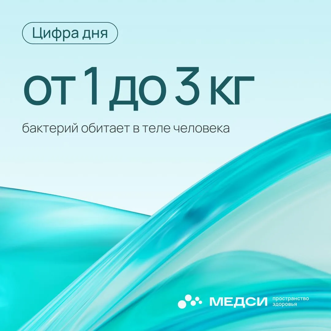 Причем, это не только бактерии, но и археи, грибы, протисты и даже вирусы. Вместе они образуют целый