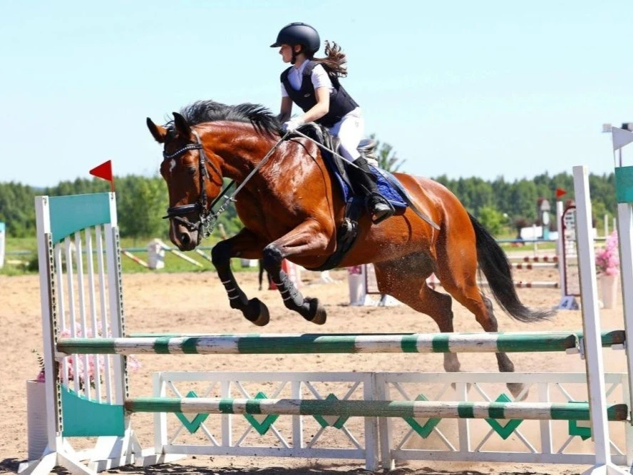 🏇 Орловские спортсмены завоевали награды на Кубке Курской области по конному спорту