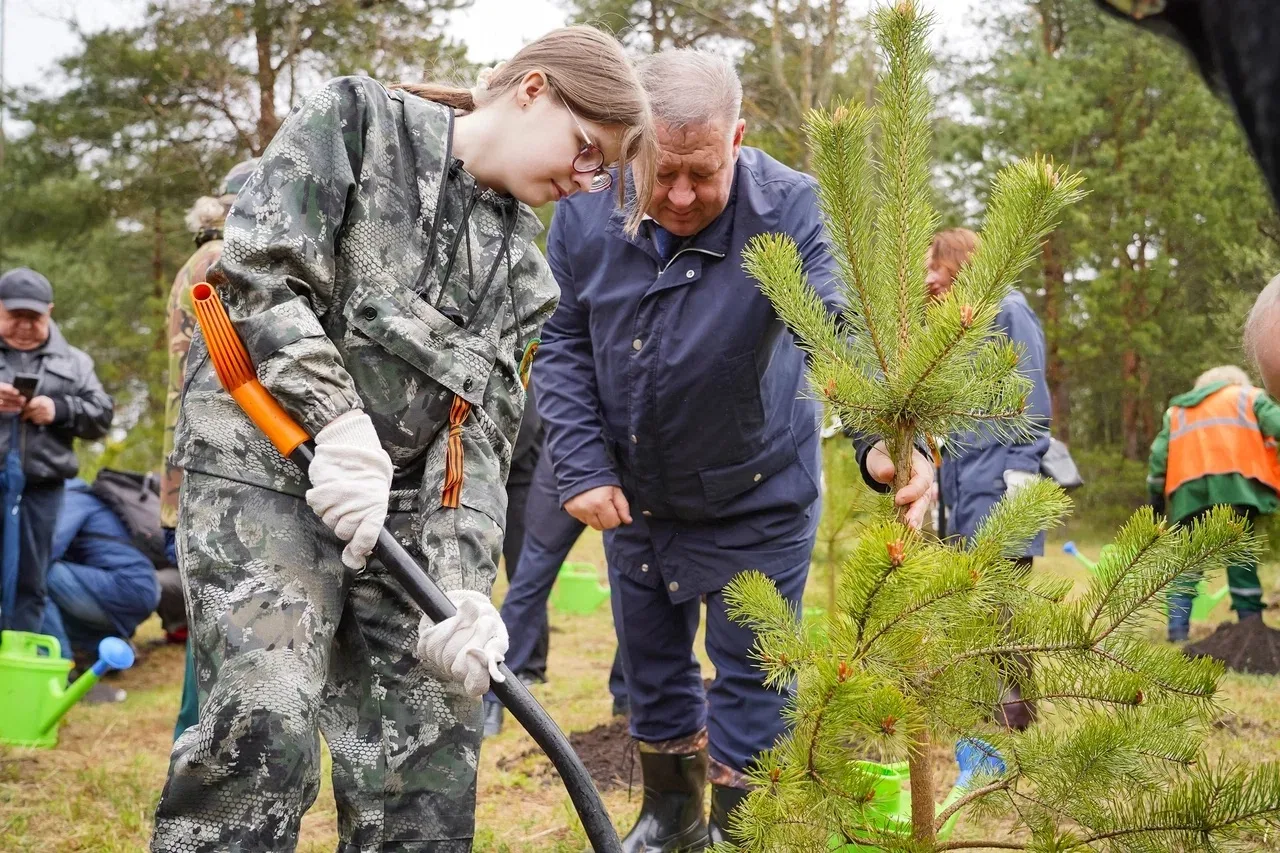 Сегодня Санкт-Петербург вновь присоединился к международной акции «Сад памяти» — важному и по-настоя