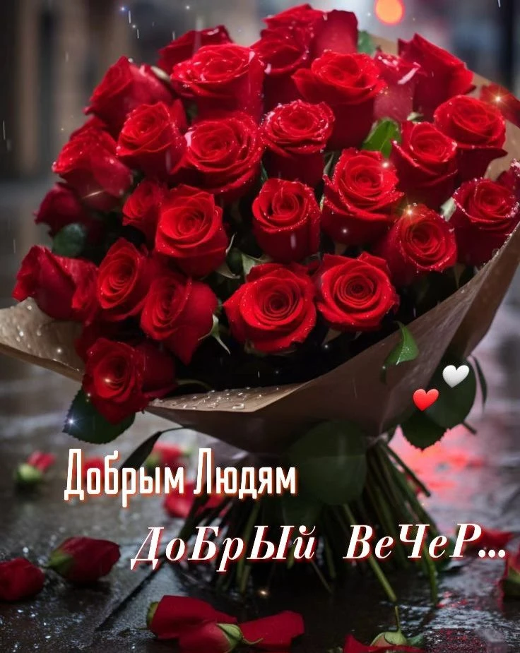 Добрый вечер!♥️