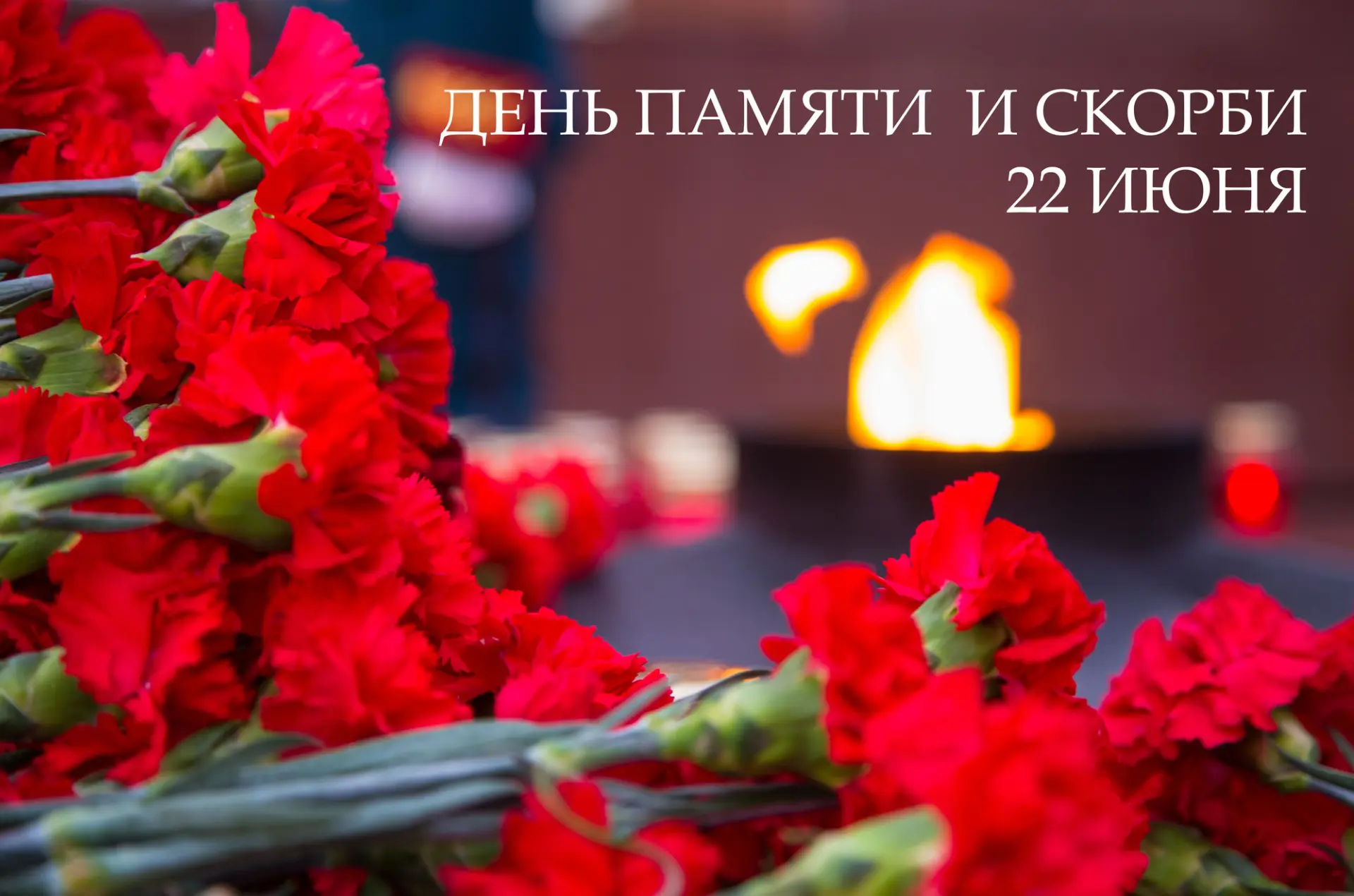 22 июня — День памяти и скорби.

В этот день мы вспоминаем одну из самых трагических страниц истории