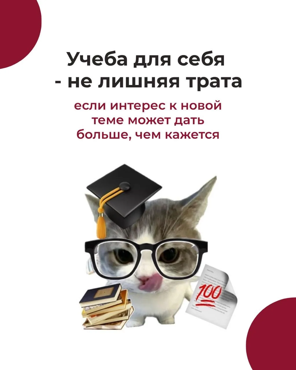 🤓Учиться только ради новой должности — удобная логика