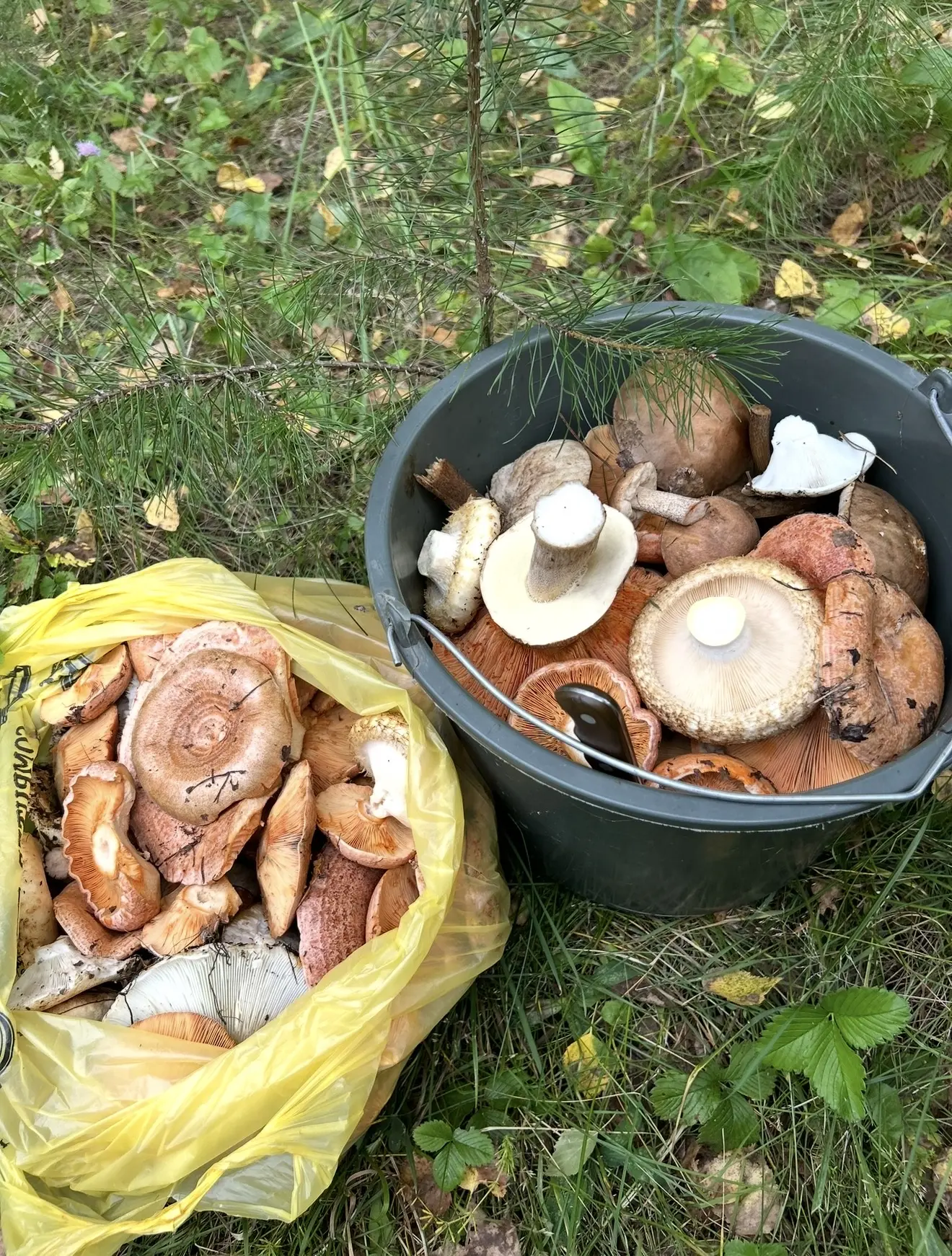 Совсем скоро жизнь будет ощущаться так♥️  А пока на улице холодно, сыро и серо… По прогнозу в Мордов