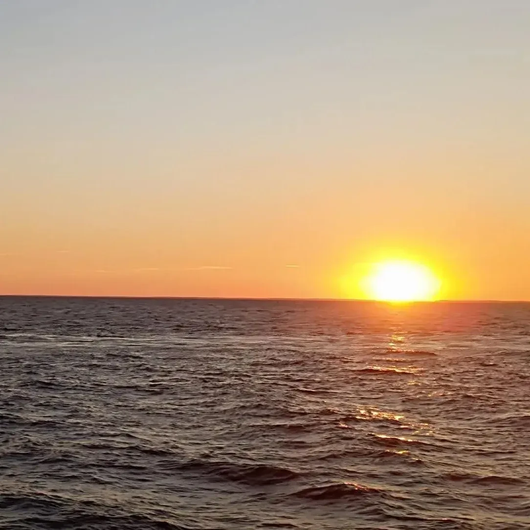 🚢 Круиз выходного дня на Валаам: перезагрузка за 72 часа 🌅