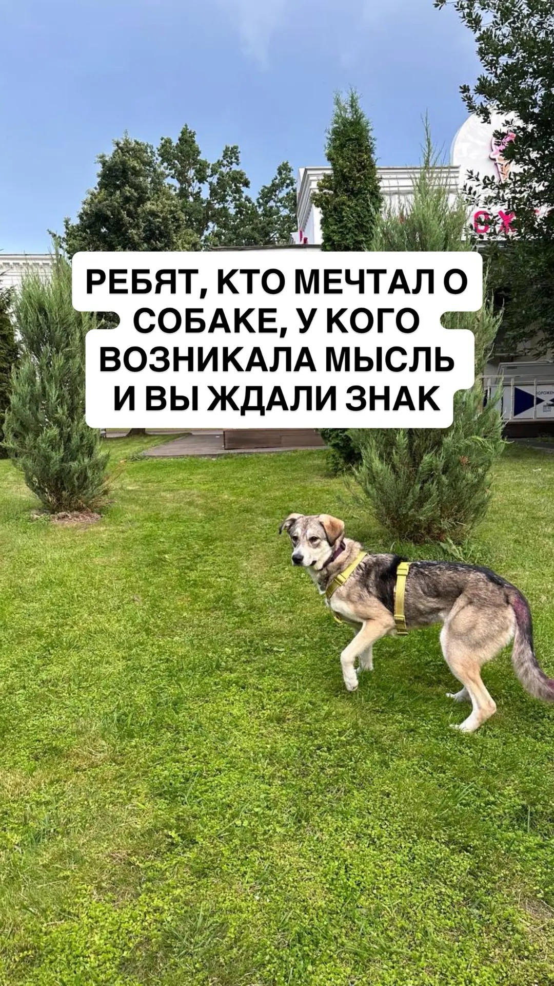 я влюбилась 🥹