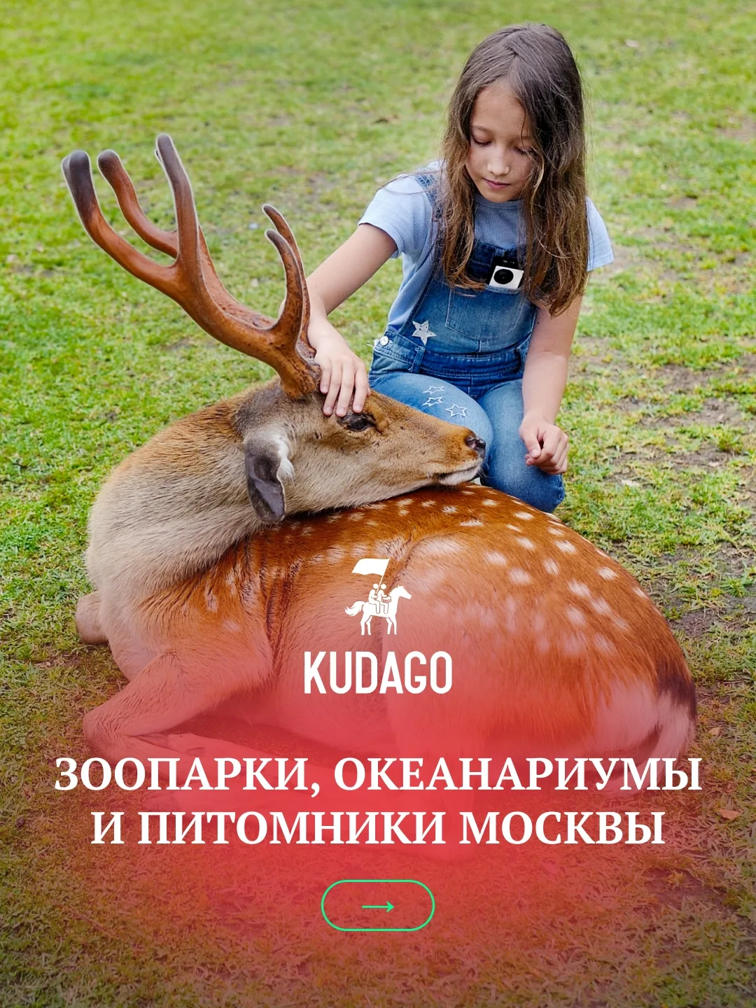 В Москве можно встретить представителей фауны со всей планеты. В зоопарках, океанариума...