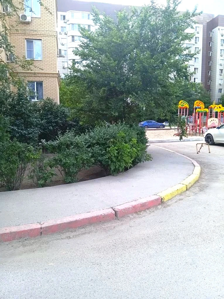 К новости «✂️ Летняя стрижка для вашего двора! 🌳»