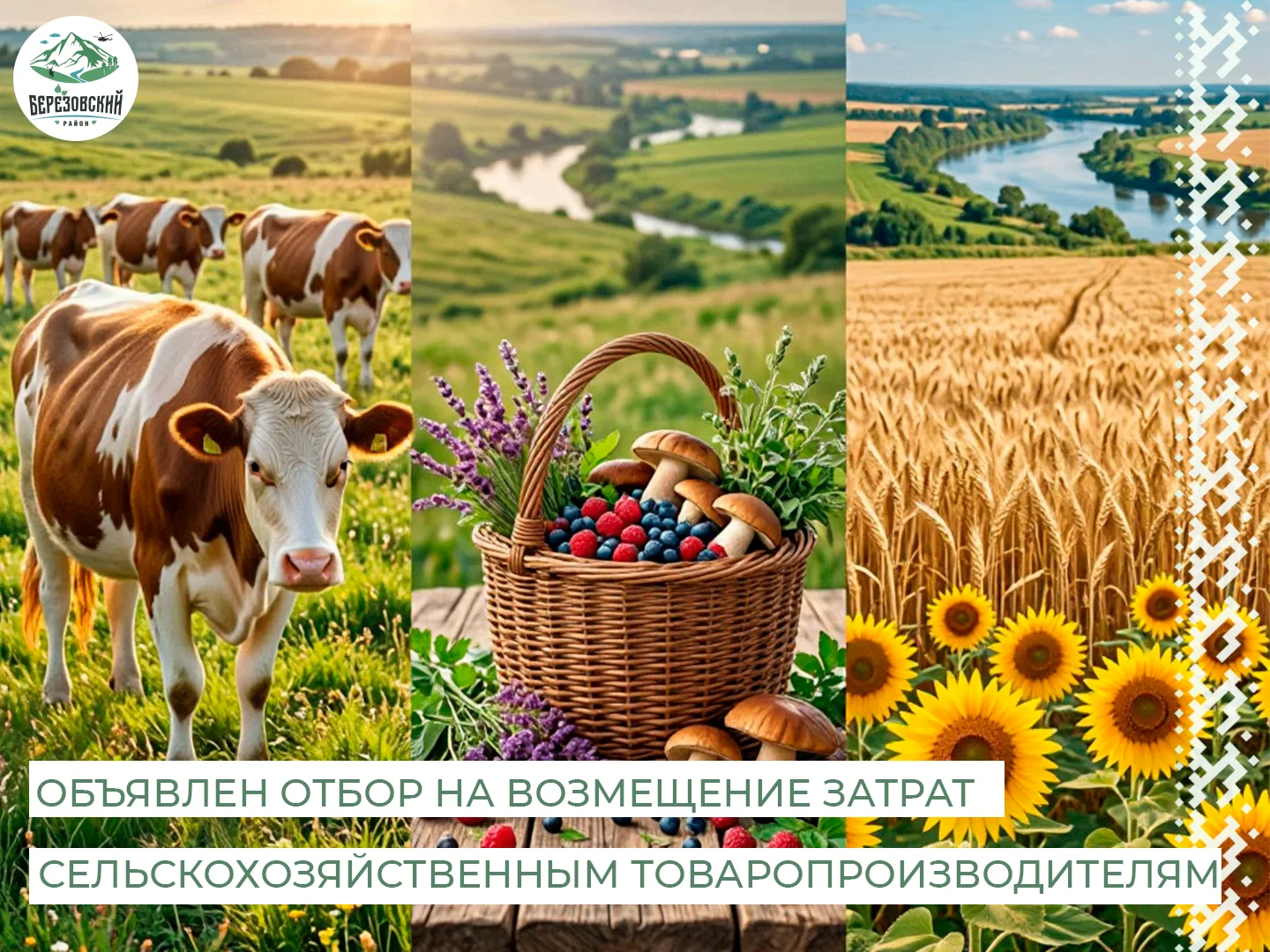 🌾 Внимание, сельхозтоваропроизводители! Объявлен отбор на получение субсидий! 🌾