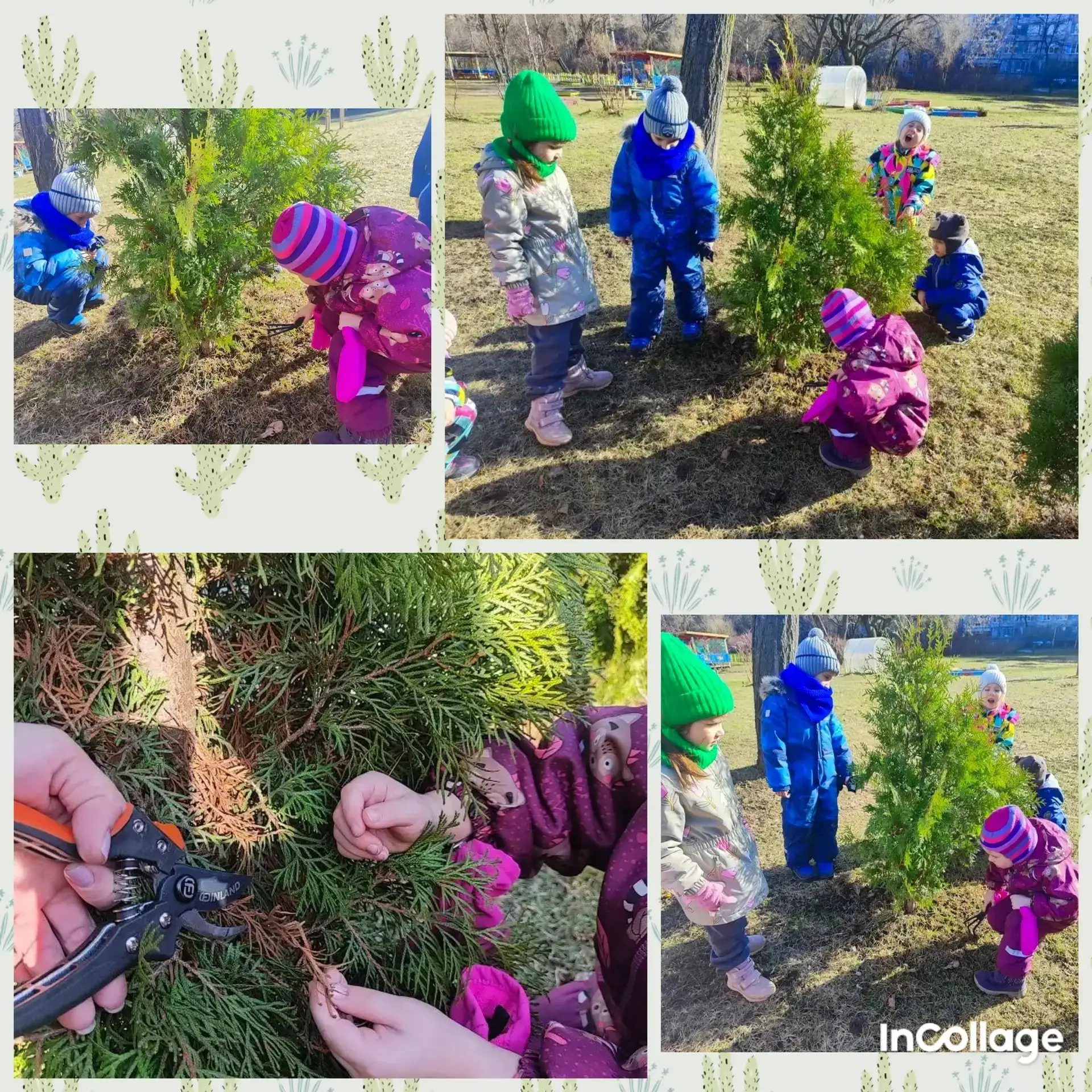 🌱 В группе «Солнышко» начался сезон посадок! ☀️