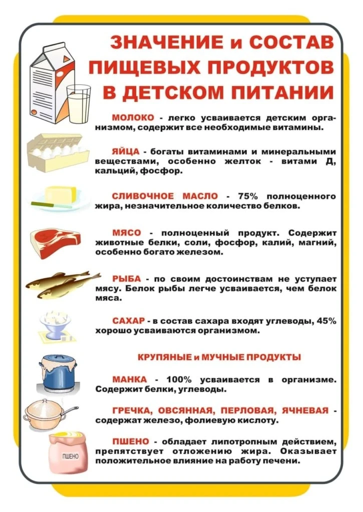 Организация питания дошкольника дома — это не просто приготовление еды, а настоящее искусство, требу