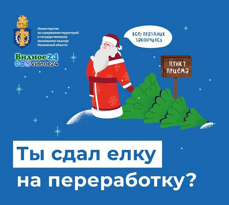 Началась ежегодная акция «Сдай ёлку на переработку»  С 12 января до 8 февраля в Московской области п