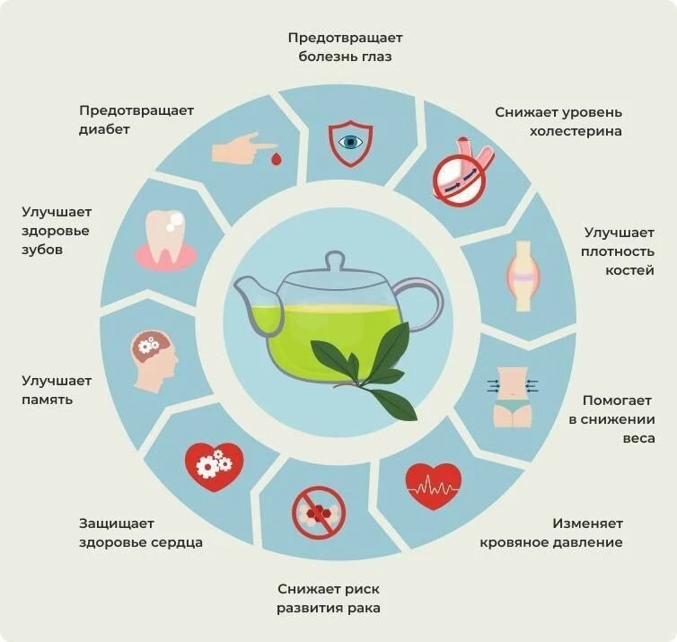 Польза зеленого чая! ☕️