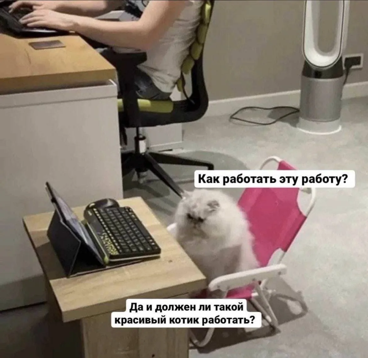 Пятидневка оказалась полезнее для здоровья, чем гибкий график, — эксперты