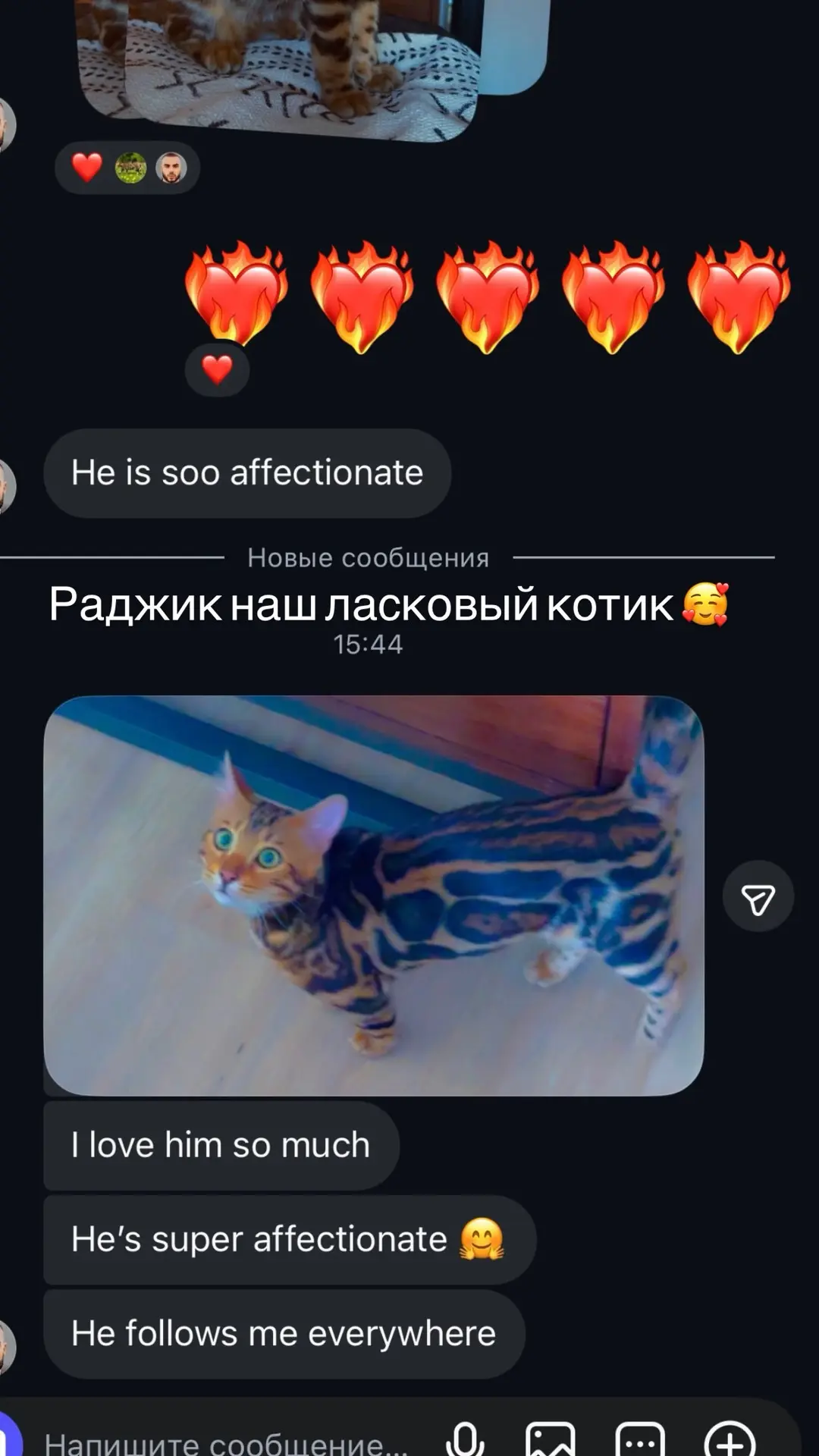 #выпускникиMG