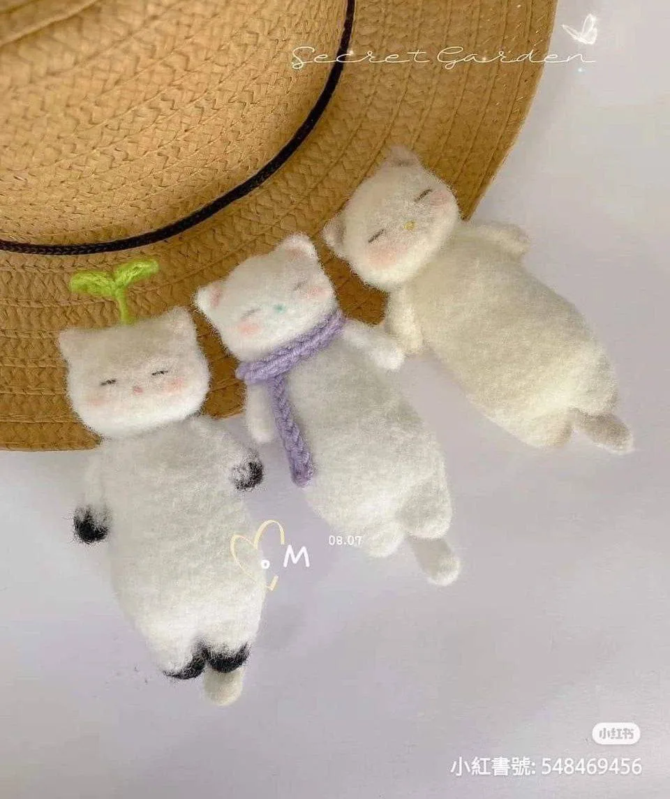 Котик