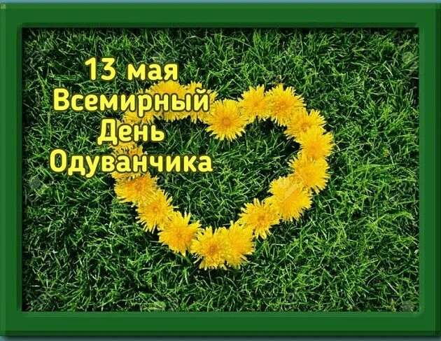 ✨ День одуванчика в старшей группе! ✨🌼