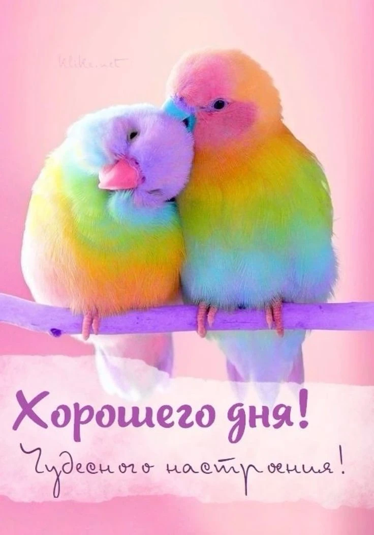 Оставляйте реакции, если понравилась открытка 👍

Больше открыток тут👇
КРАСИВЫЕ ОТКРЫТКИ
Не забудьт