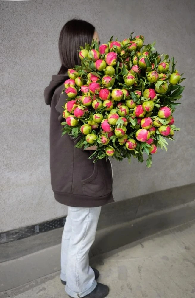 Получили свежую поставку пионов 😍