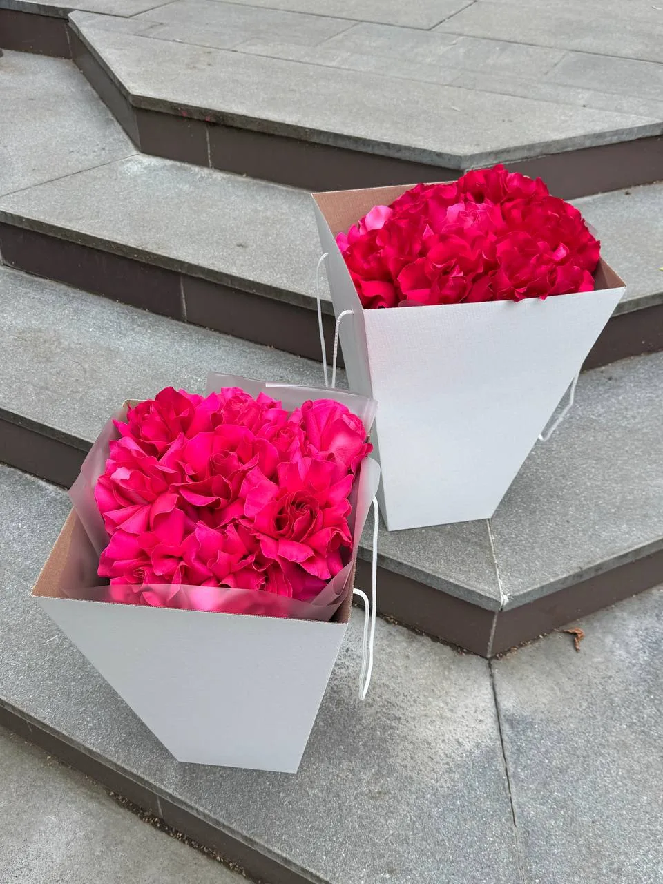 Любимые яркие французские розы 🌸