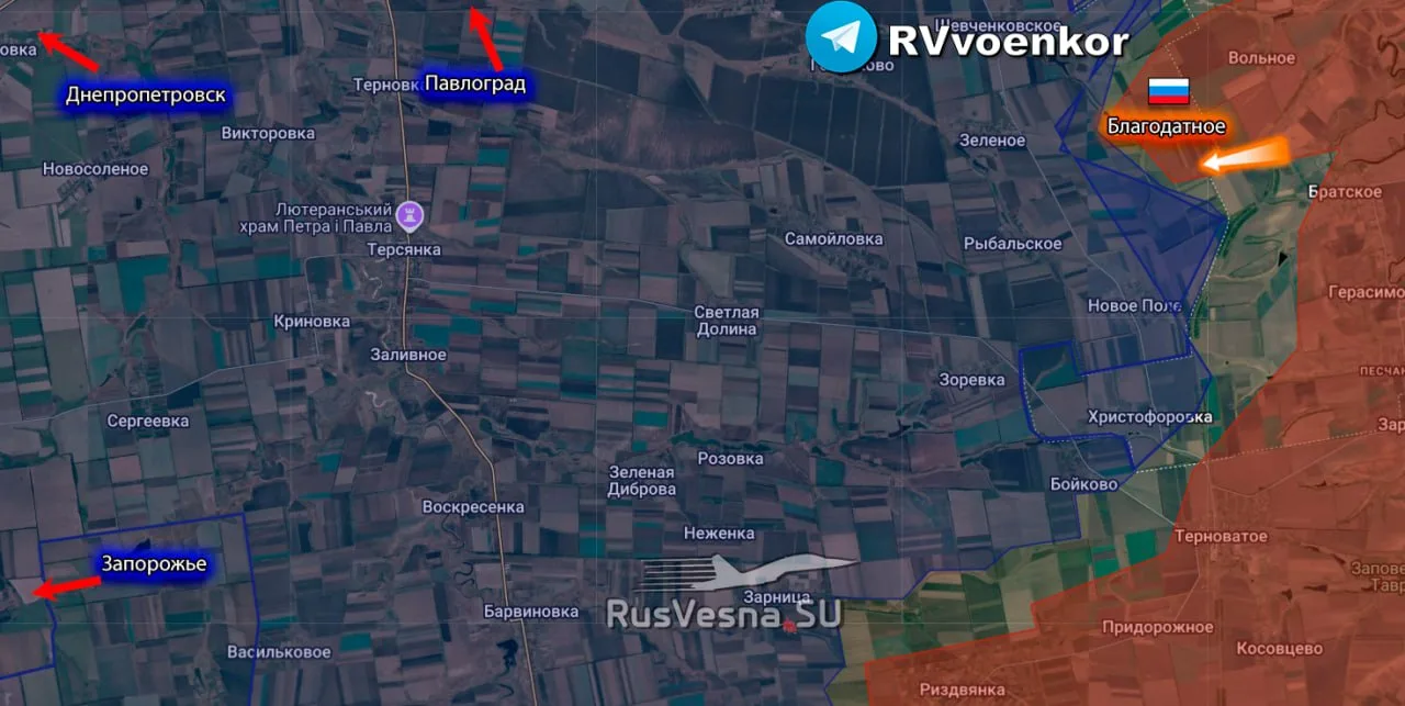 ‼️🇷🇺🇺🇦 Армия России освободила Благодатное Запорожской области