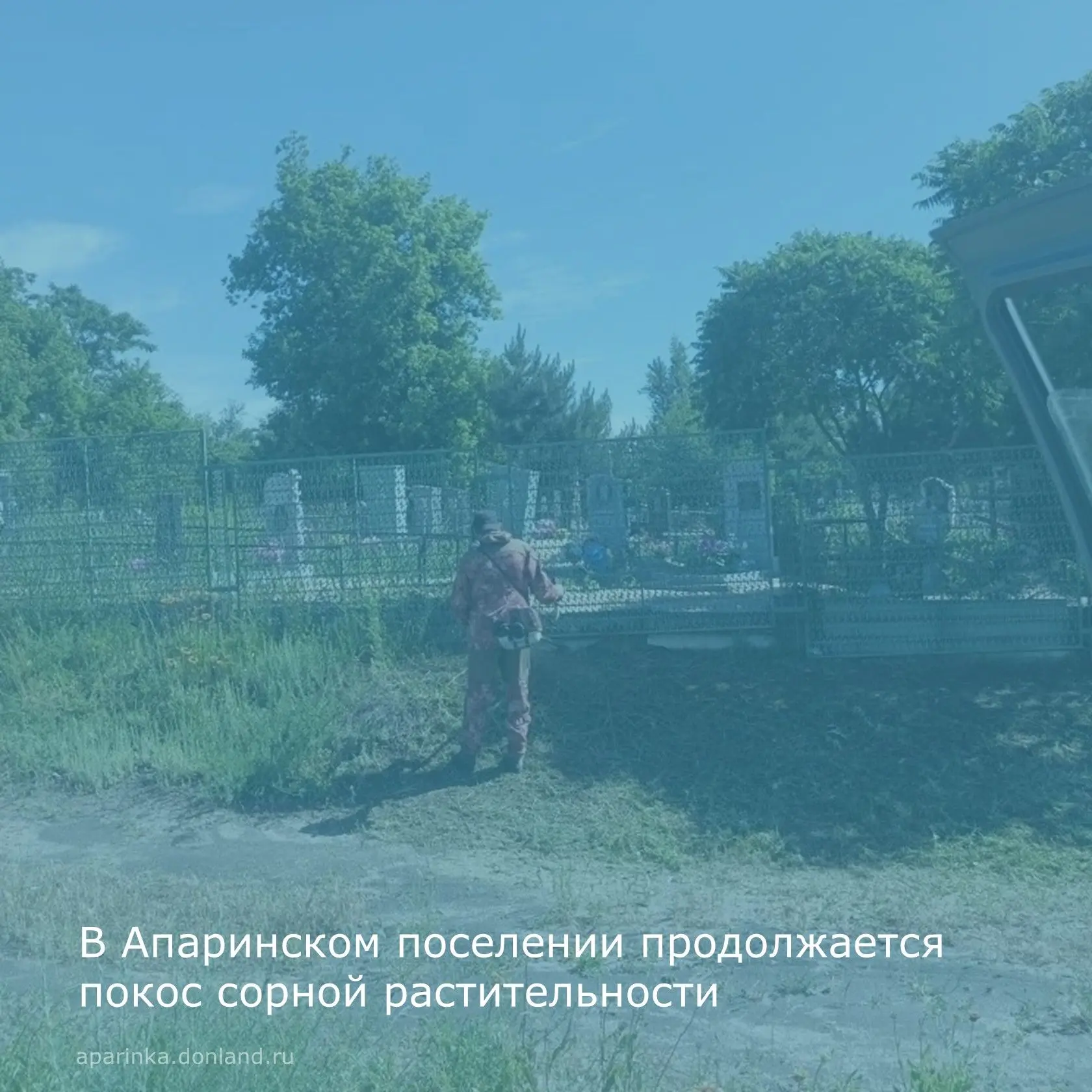 В Апаринском сельском поселении на постоянной основе проводится покос сорной растительн...