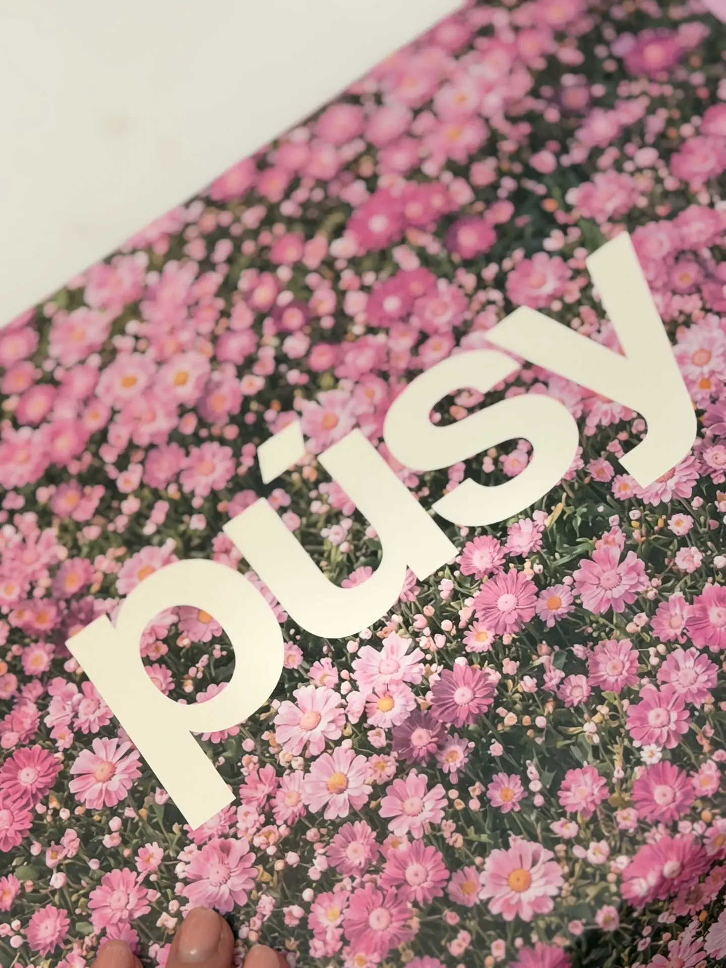 Ну что за очередная прелесть от PUSY🌸