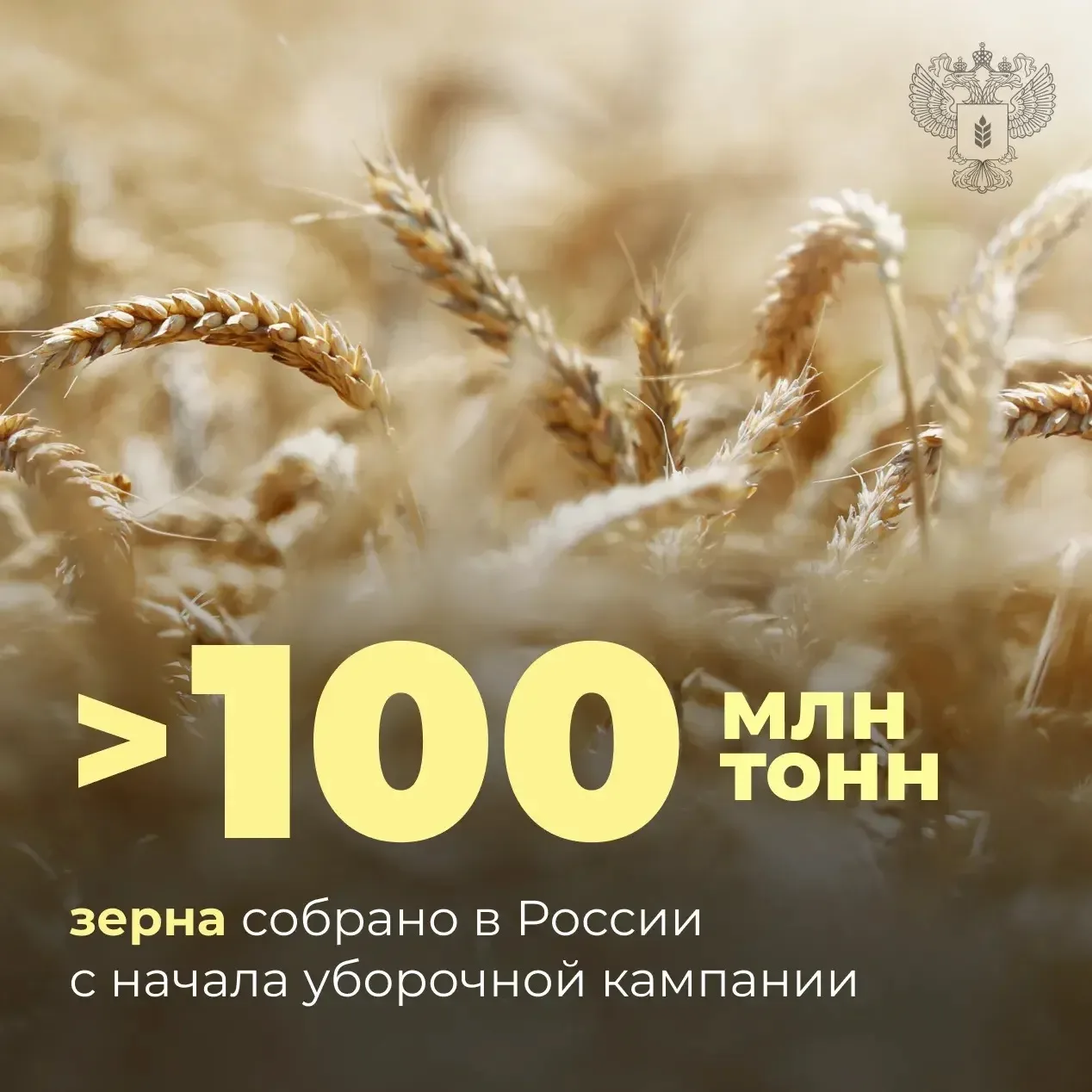 🌾 Урожая хватит для полного обеспечения страны: в России собрано более 100 млн тонн зерна