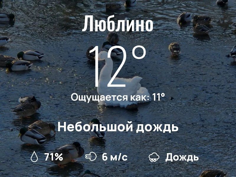 Что с погодой в Люблино?