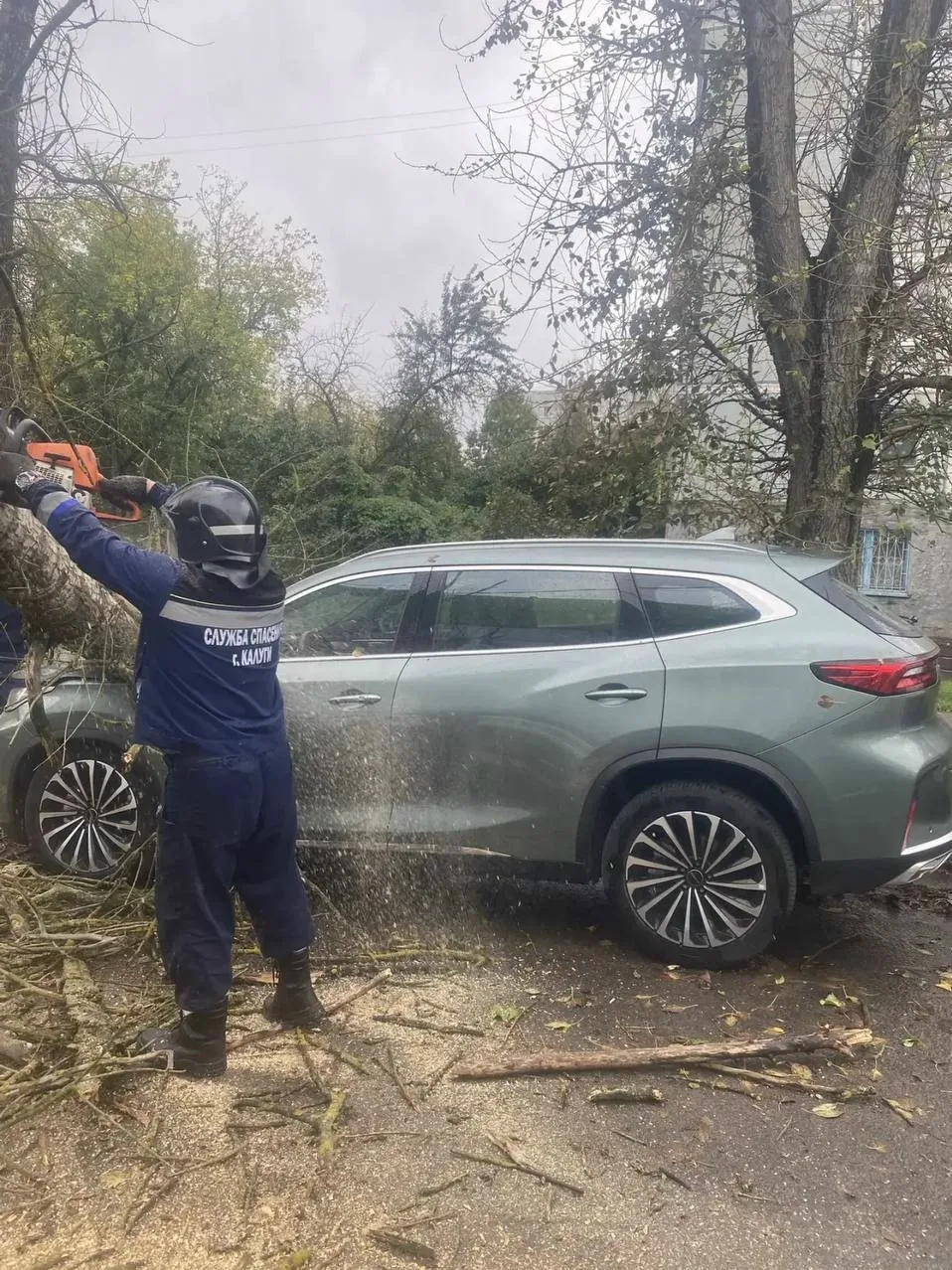 В Калуге дерево рухнуло на припаркованный автомобиль