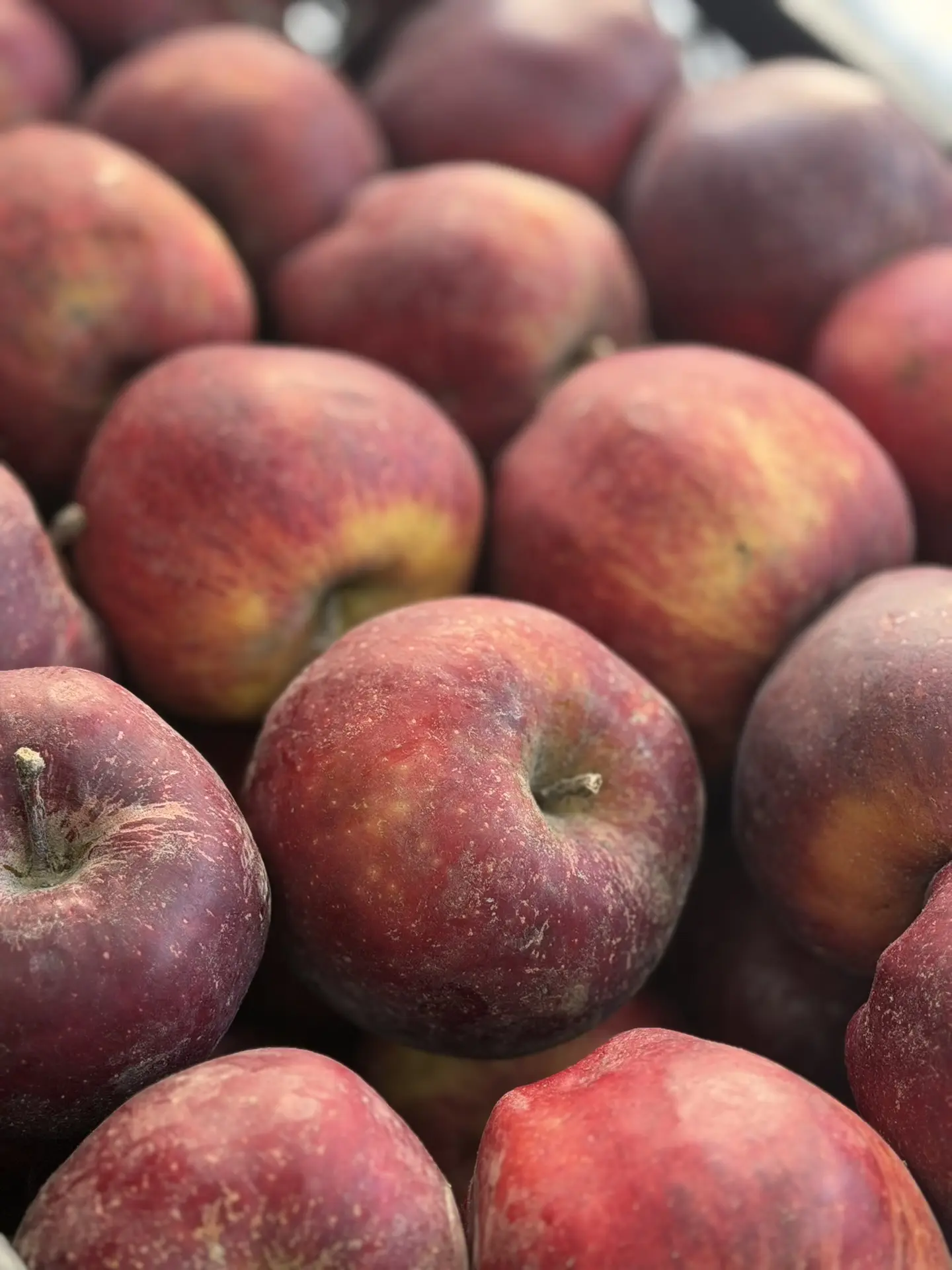 🔥 В МАГАЗИНАХ «ПЕРВЫЙ ЯГОДНЫЙ» ПОСТУПЛЕНИЕ ЯБЛОК ИЗ КИРГИЗИИ 🍎   В наличии сорта: — Ранет 🍏  — Крипс