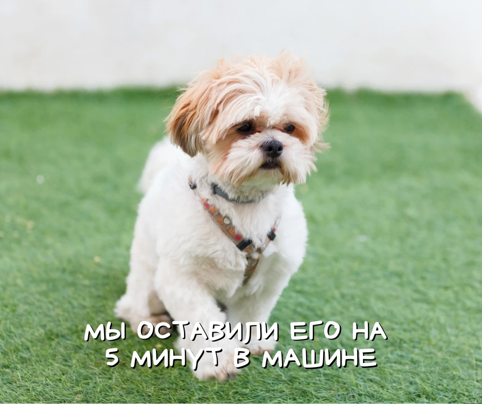 Знаете, какая летняя фраза меня пугает больше всего?