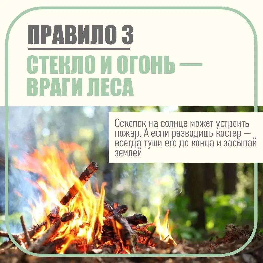 🌱 Ключевые правила отдыха на природе